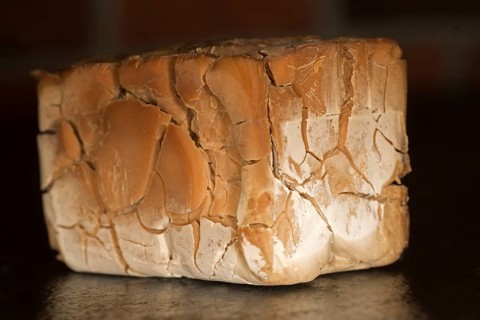 Dried up baker's yeast cube