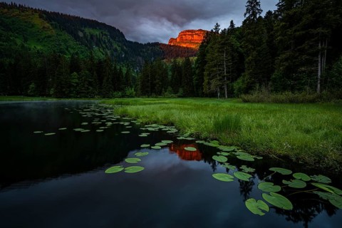 Schwendisee with water lilies