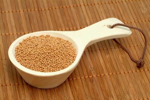 Medicinal plant White mustard
