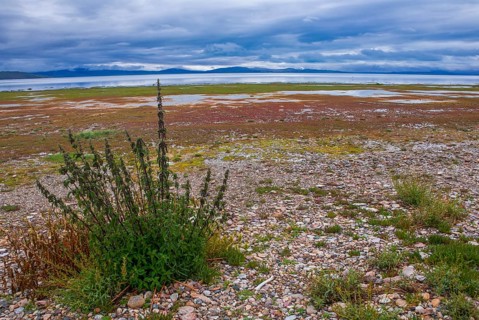 Lake Manasarovar