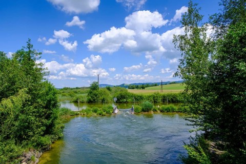 Katzbach am Wallersee