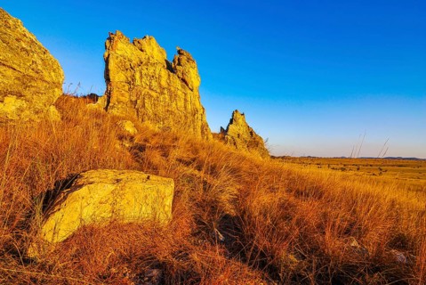 Savannah at sunset in the Isalo National Park