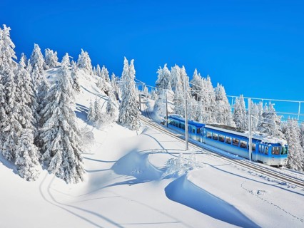 Cogwheel railway travelling through snow-covered forest
