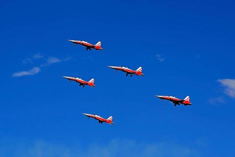Formation flight of the Patrouille Suisse with the Northrop F-5E Tiger II