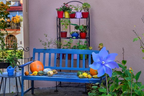 Backyard with flower decoration