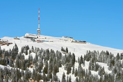 Winter landscape