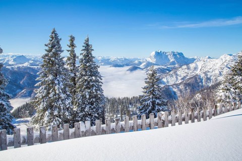 View of the Wilder Kaiser