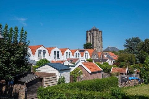 Gardens and backyards in Weststraat with Sint Lievensmonstertoren