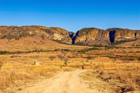 Road going through the Isalo National Park