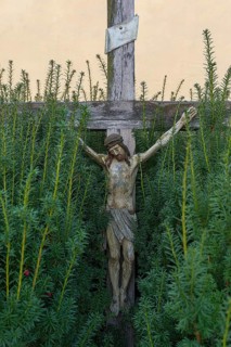 Christ cross in a hedge