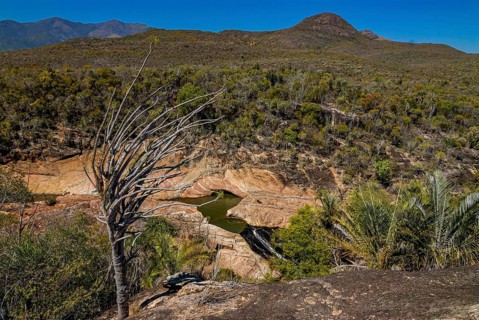 A view over the transitional forest of Andohahela National Park