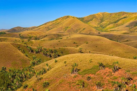 Eroding savanah hills on the east coast near Manakara on the east coast of Madagascar