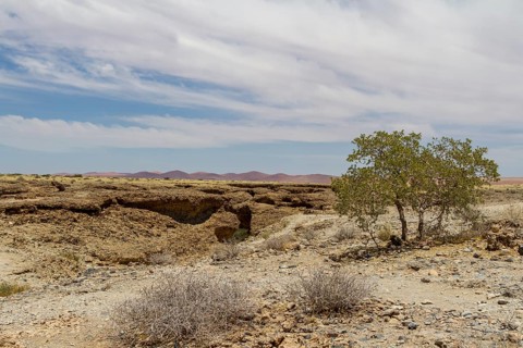 Landscape at Sesriem Canyon