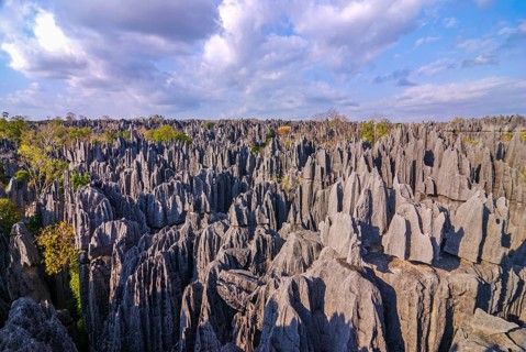 Overlook over the Tsingys