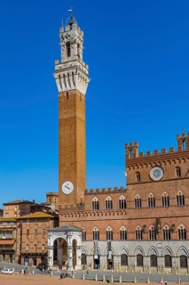 The Tower and Palazzo Pubblico