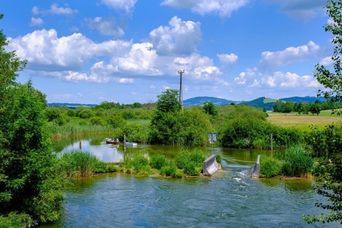 Katzbach am Wallersee