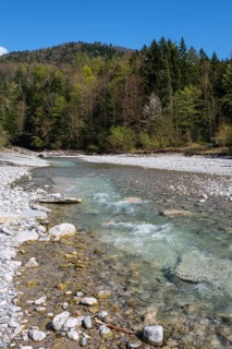 Tauglbachgries