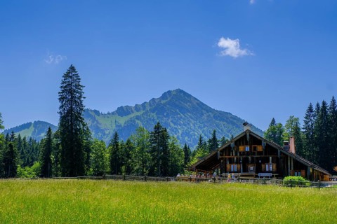 On the way to the Sauruesselalm