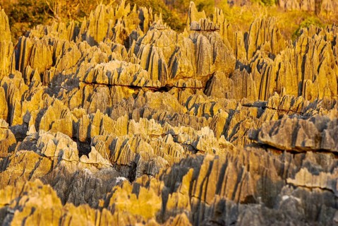 Close up of the Tsingys