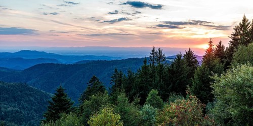 View from Schliffkopf over forest and mountains at sunset