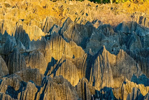 Close up of the Tsingys