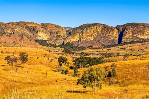 Savannah in the Isalo National Park