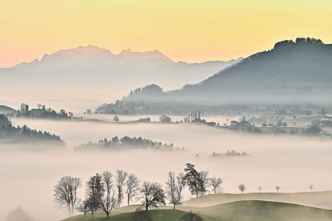 Meadows and trees in autumnal early morning mist