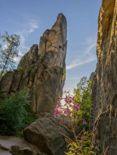 Prachovske Rocks