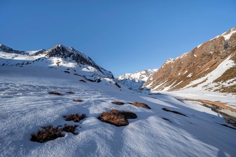 Snow-covered mountains