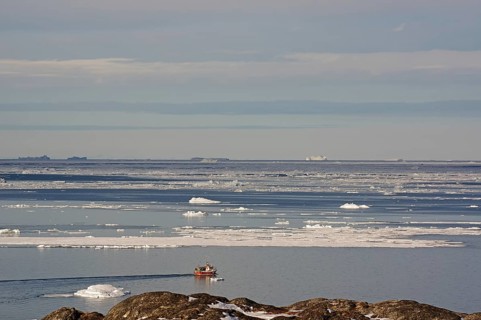 Boat in front of drift ice fields and icebergs