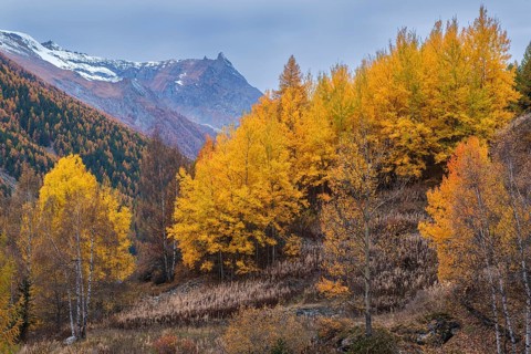 Autumn atmosphere