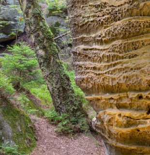 Sandstone rocks of