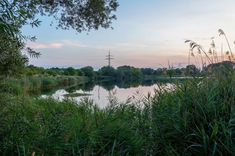 Sunset at Lake Wilsleben