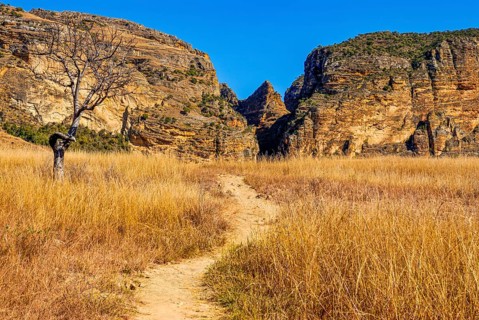 Path going through the Isalo National Park