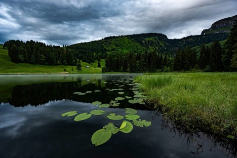 Schwendisee with water lilies