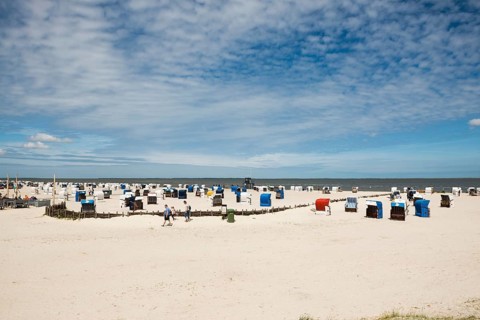 Beach chairs on the sandy beach