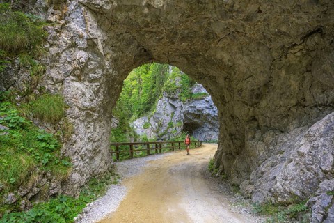 Woman walking through tunnel along Schrottner path