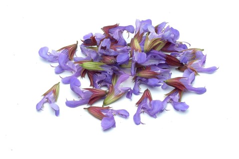 Common sage