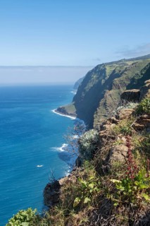 Ponta do Pargo coast