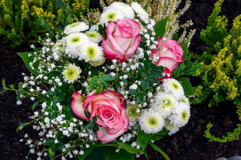 Grave with flower decoration and shrub rose