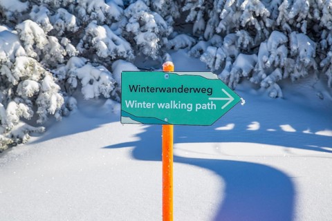 Snow hiking trail to the viewing platform