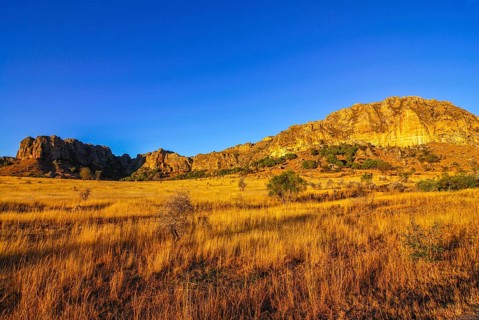 Savanah at sunset in the Isalo National Park