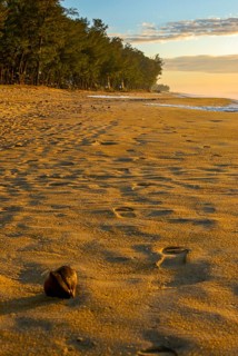 Long sandy beach in Manakara on the east coast of Madagascar