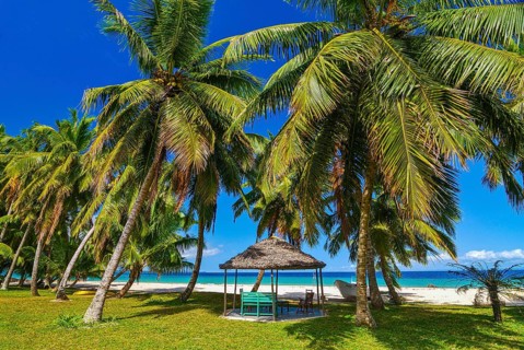 Palm trees on a white sand beach on the Island Ile Sainte-Marie although Nosy Boraha