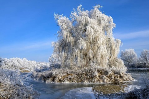 River landscape with hoarfrost and ice