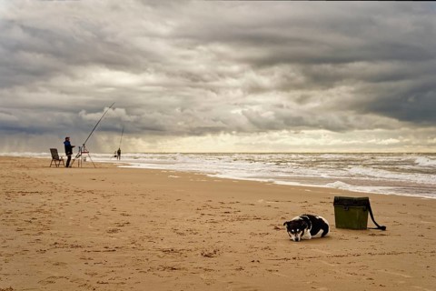 North Sea