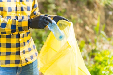 Unrecognizable person collecting plastics in a forest. Ecology concept
