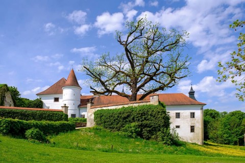 Salaberg Castle