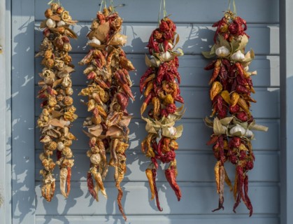 Dried chillies