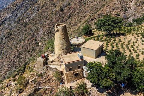 Aerial of fortified house and a coffee plantation